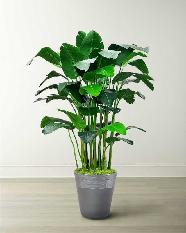 Banana Palm in Planter, 84"